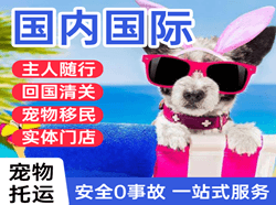 吉安井冈山机场空运国际宠物托运 【国